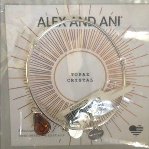 Topaz Crystal - Alex and Ani